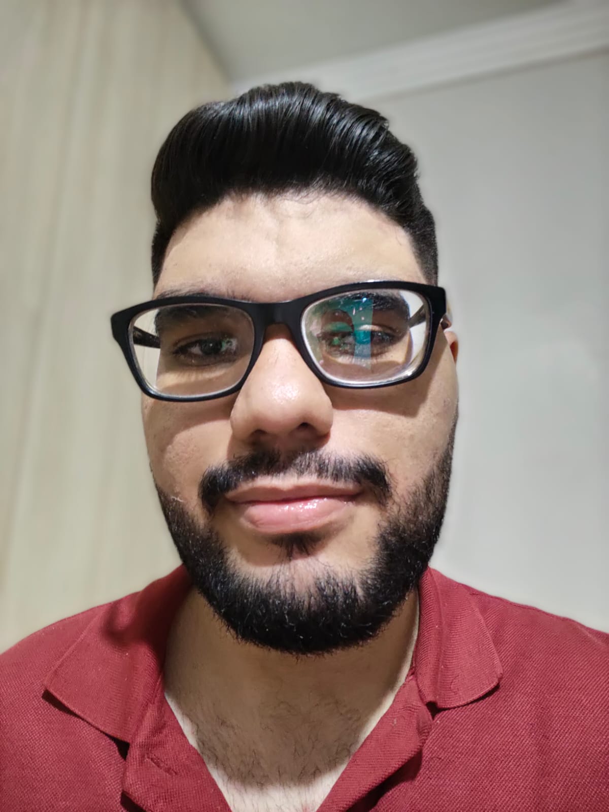 Renato Luiz, Gestor de Tráfego Online